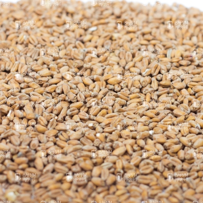 Ингредиенты Castle Malting Wheat (пшеничный)