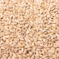 Soufflet Pilsner