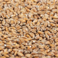 Castle Malting Arome
