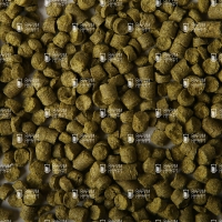Хмель Голдинг (Golding)