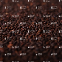 Ireks Chocolate Malz