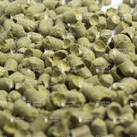 Хмель Чинук (Chinook)