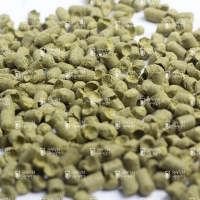 Хмель Перле (Perle)