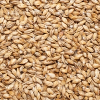Castle Malting Cara Clair
