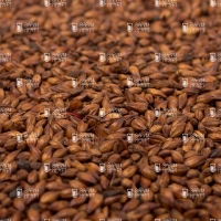 Dingemans Шоколадный 900