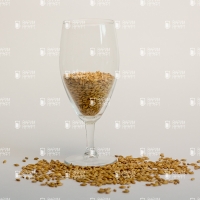 Dingemans Мюнхенский