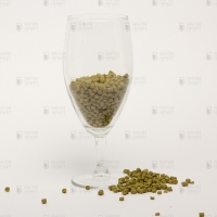 Хмель Цитра (Citra)