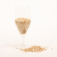 Chateau Castle Malting Acide (кислый)