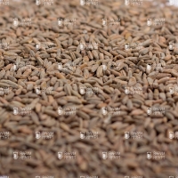 Chateau Castle Malting Rye (ржаной)