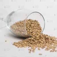 Soufflet (Суффле) Пилзнер