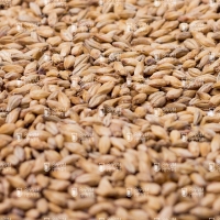 Soufflet (Суффле) Пшеничный