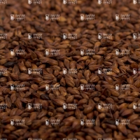 Castle Malting - Chocolate 900