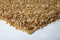 Viking malt Карамельный 190